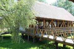 Mini IMG 0352